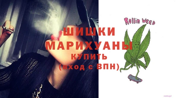 индика Осинники