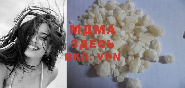 индика Осинники