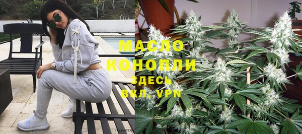 индика Осинники
