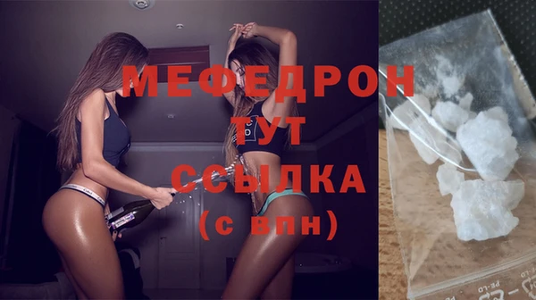 индика Осинники