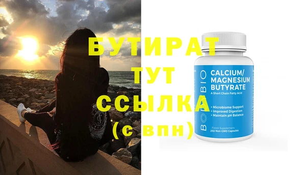 индика Осинники