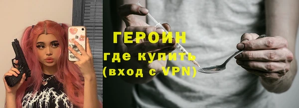 индика Осинники