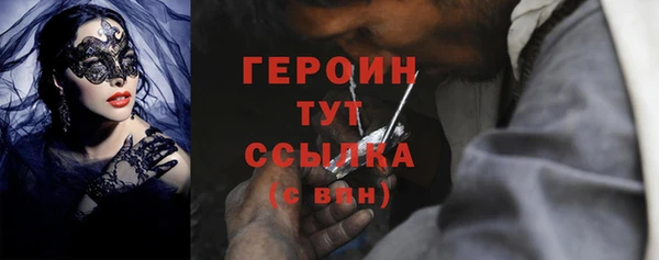 индика Осинники