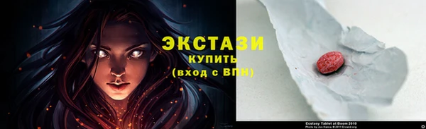 индика Осинники