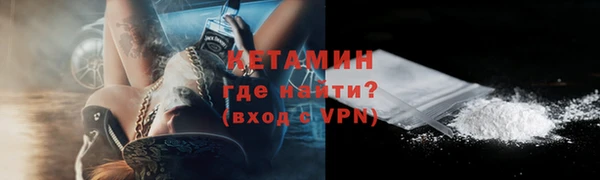 индика Осинники