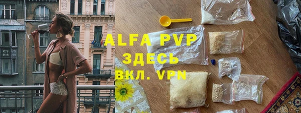 индика Осинники