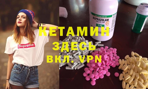 индика Осинники