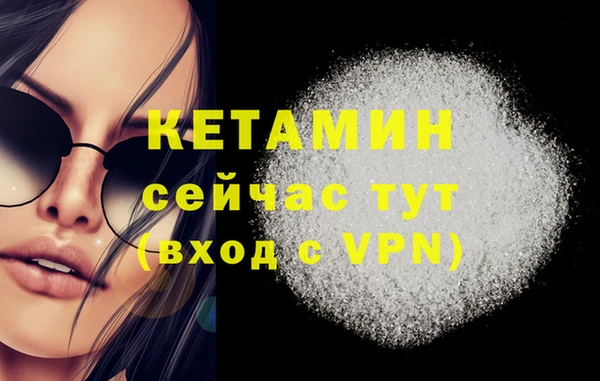 индика Осинники