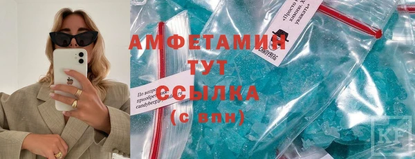 индика Осинники