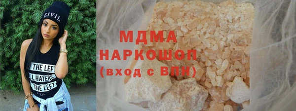 индика Осинники