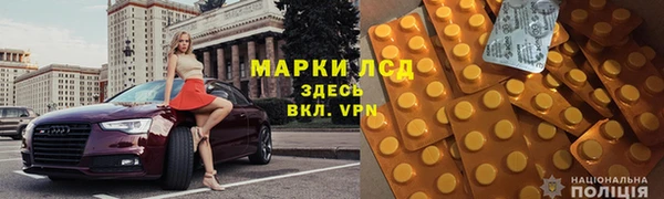 индика Осинники