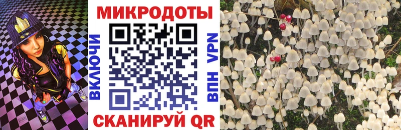 Псилоцибиновые грибы Psilocybine cubensis  Стрежевой 