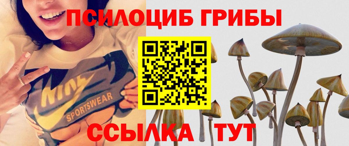 Стрежевой  Псилоцибиновые грибы мицелий  Вход с VPN 