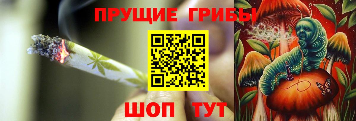 APVP Стрежевой
